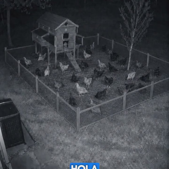Cliente muestra la luz solar SolarGuard iluminando su patio de noche
